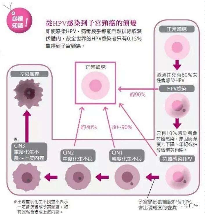 hpv如何演变为宫颈癌