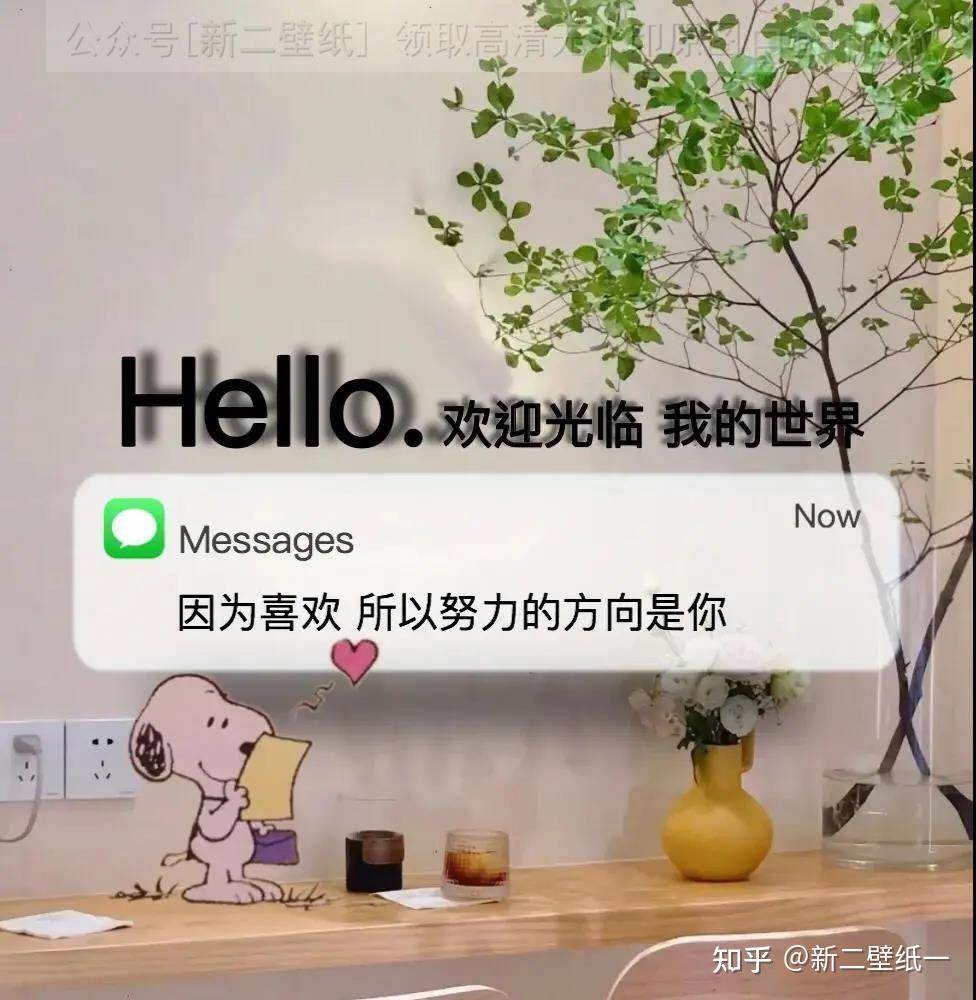 hello欢迎光临我的世界因为喜欢所以努力的方向是你图片背景图壁纸抖