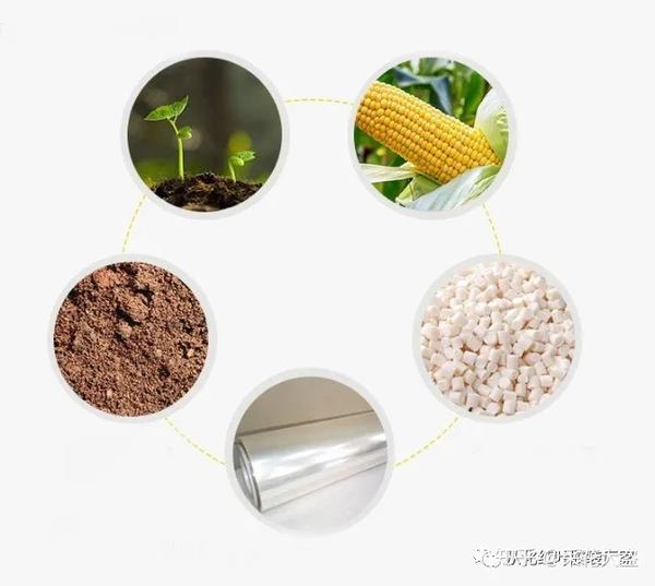 聚乳酸(pla)是一种新型的生物基及可再生生物降解材料,淀粉原料经由