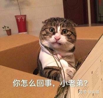 丑 发布于 2018-05-31 1 6 条评论 分享 收藏 感谢 收起 静静静静神龙