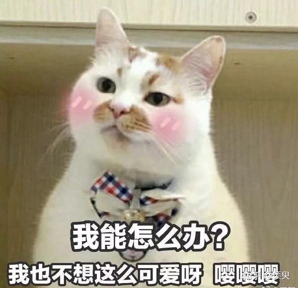 有什么适用于和老公/男票撒娇的可爱表情包?