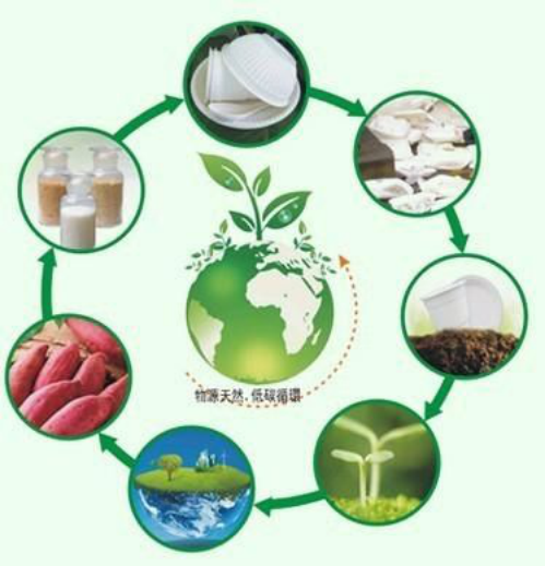 研究人员希望开发出一种能在微生物环境中降解的塑料,以处理大量一次