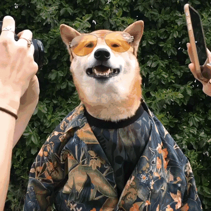 我敬你是条汉子!