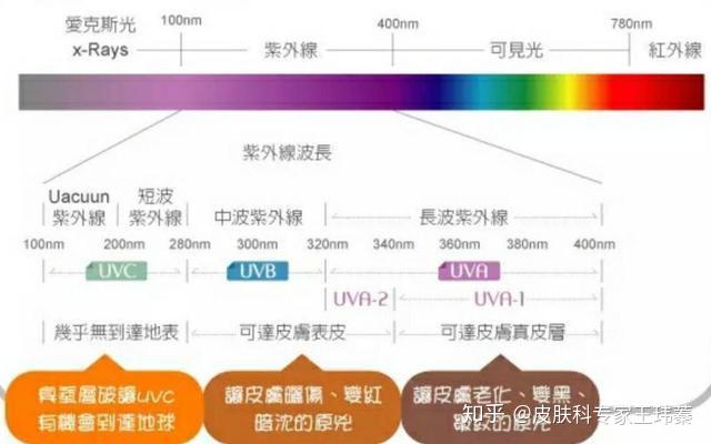 紫外线与皮肤损伤有何关系