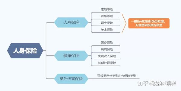 (1)传统人寿保险