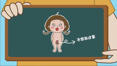 国内最全的儿童性教育动画共17集免费领娃缺的性教育这部动画片全补上