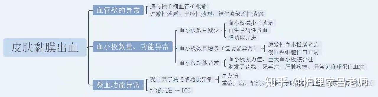 诊断学思维导图一