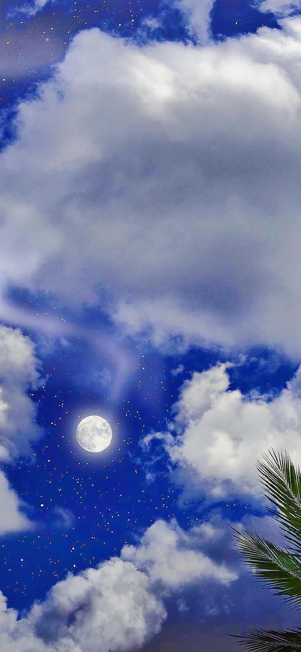 套图| 超赞的主屏 锁屏壁纸套图,不容错过!