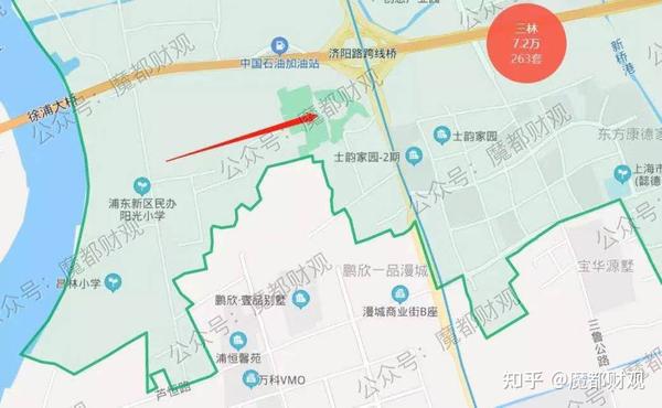 这次的机场联络线,名字就叫"三林南站",实际地点位于这里: 4 以上,和