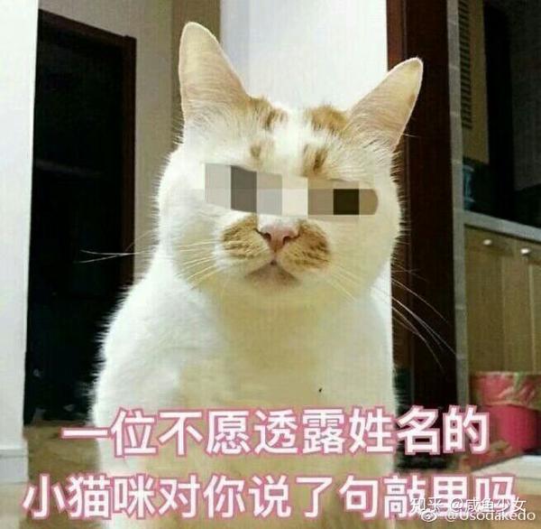 你有没有哪些好玩的系列表情包?
