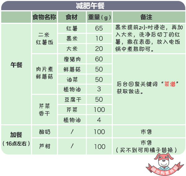 怎么样的减肥食谱比较科学?