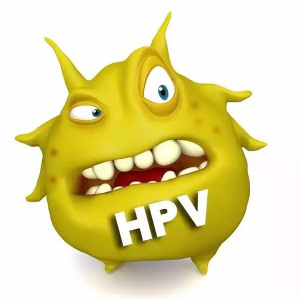 hpv 病毒有 90%～95% 会被人体免疫系统自动清除.