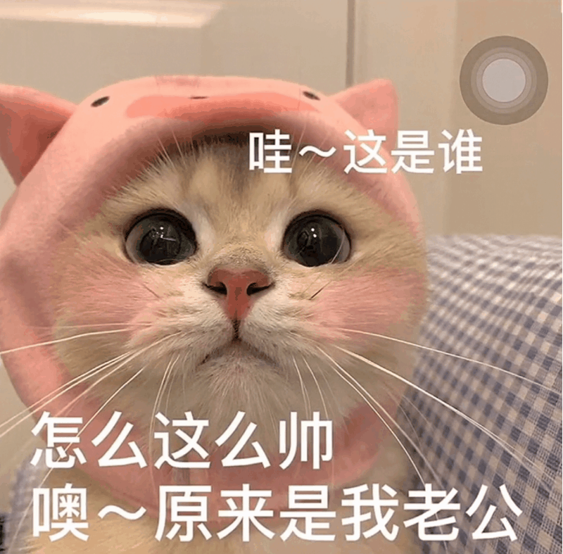 表情包好烦人呀