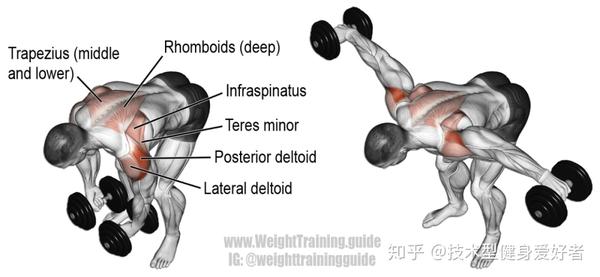 健身workout分化训练计划--基于dorian yates