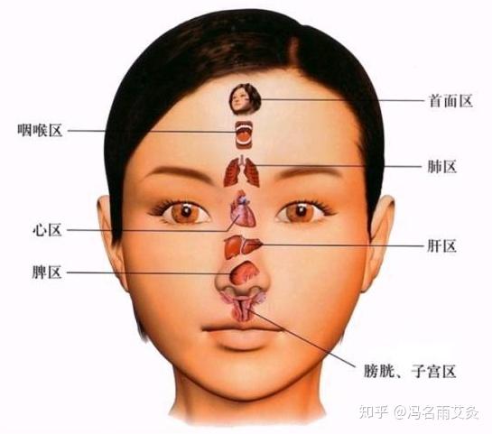 2.四白穴