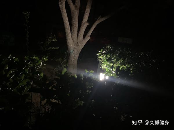 愿长夜难眠时,有人陪你说话,晚灯亮起时,有人等你回家.