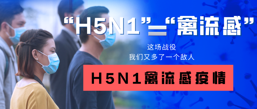 h5n1禽流感,你来的真不是时候