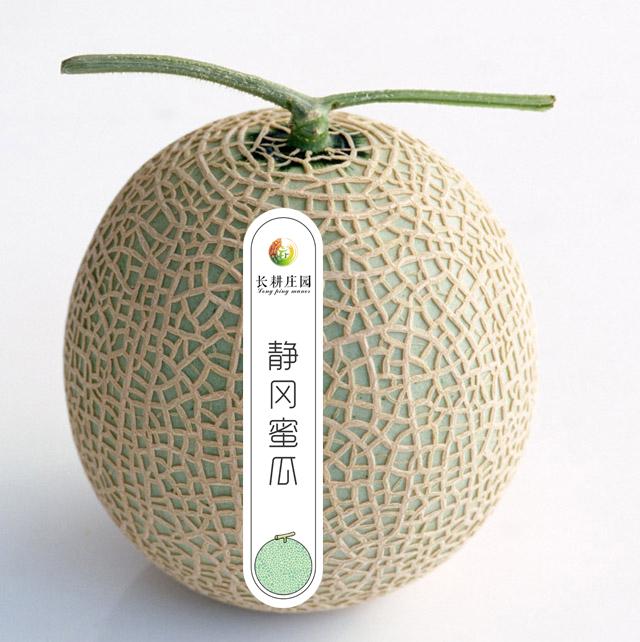 一藤一瓜日本静冈哈密瓜