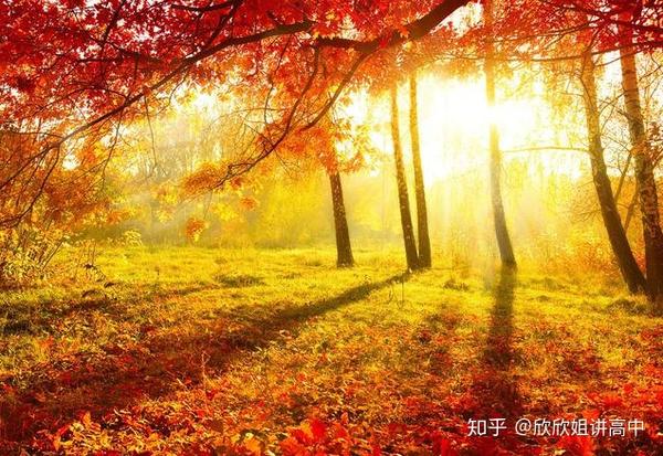 写作素材必备:描写秋天的好词好句好段(上)