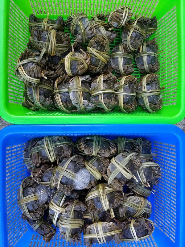 现在有什么螃蟹可以替代阳澄湖大闸蟹?