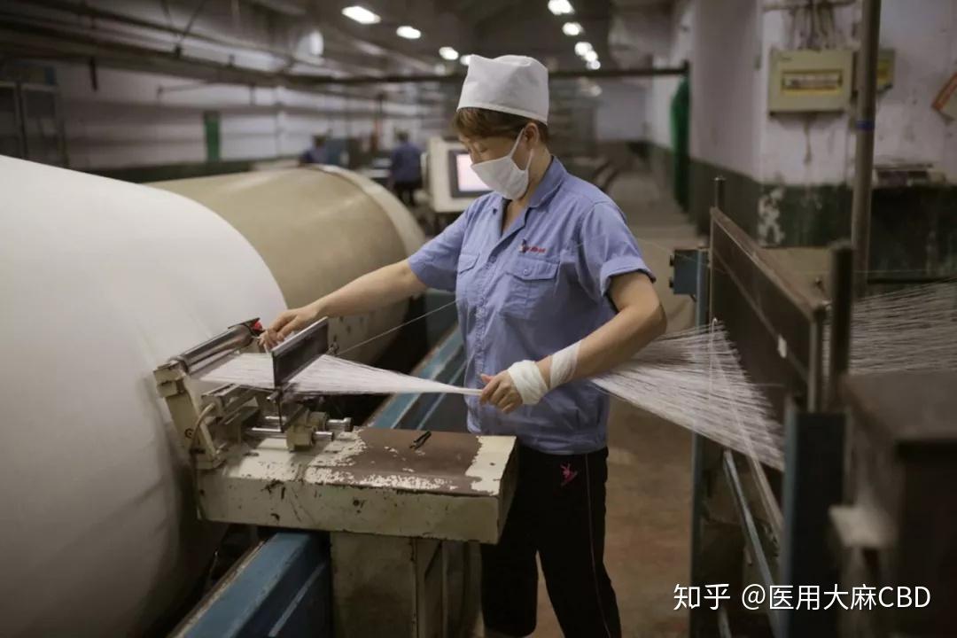 未来纺织面料之王,是棉花还是大麻?