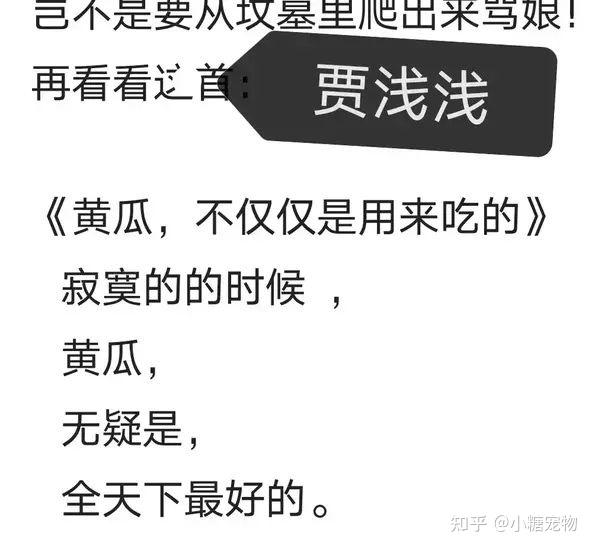 喷子与贾浅浅刘傲夫与他们的诗