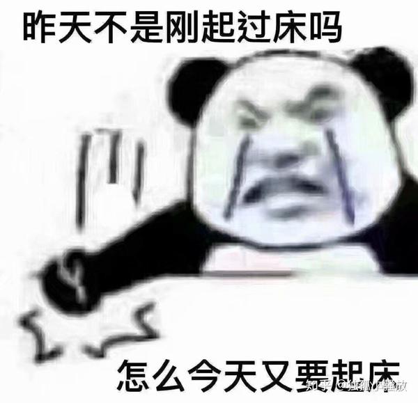 当代恶臭大学生的网课日常