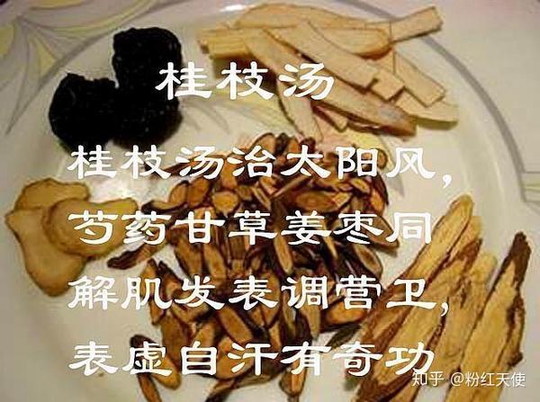 桂枝汤 1,黄芪桂枝五物汤:有人说这个方剂是治疗"血痹证"的,其实有点
