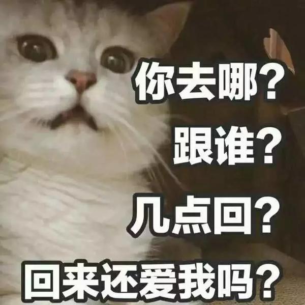 有哪些适合发说说的沙雕句子?