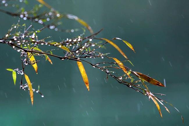 【任焕红说】一层秋雨一层凉