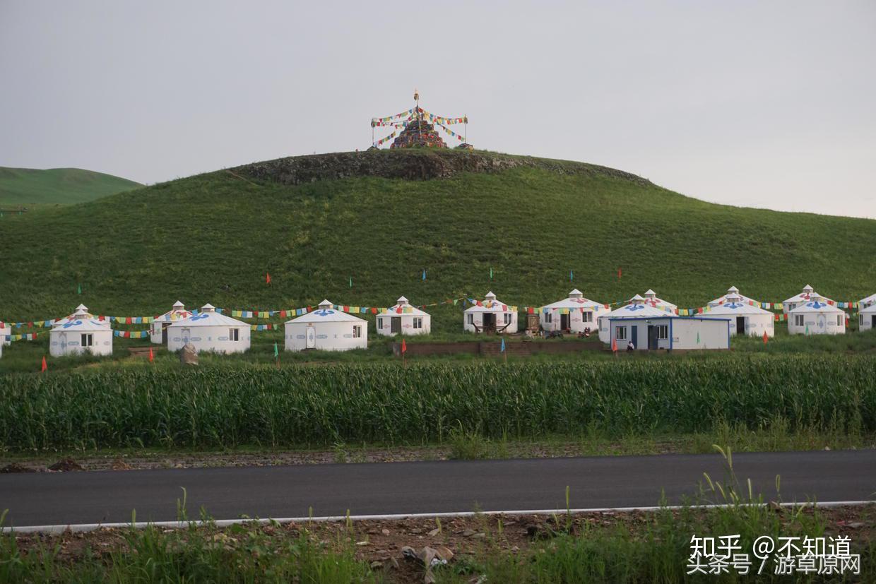 科尔沁草原在哪个市(科尔沁草原有什么特色)