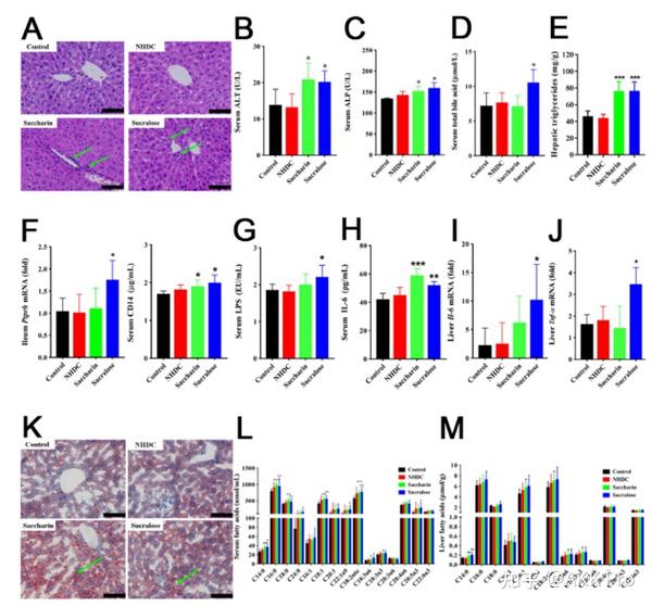 结果表明糖精和三氯蔗糖显著改变了肠道微生物群落结构,小鼠的盲肠内