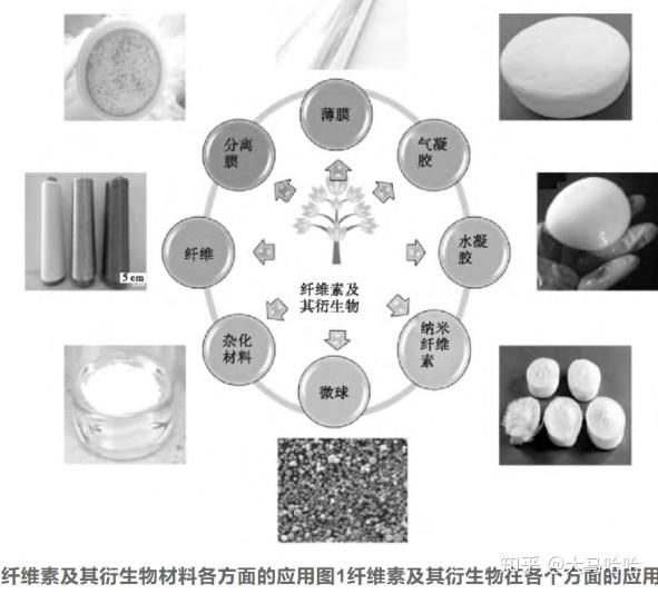 纤维素,半纤维素,木质素的理化性质和应用