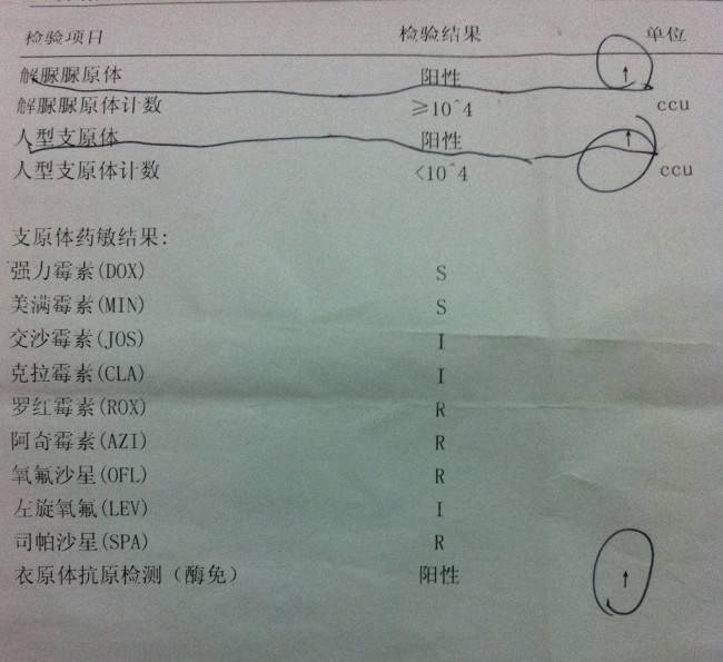 万优国际简谈支原体衣原体