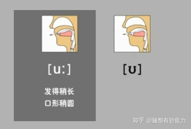 该音是个后元音,是字母oo或ou在单词中的发音.它是长元音.