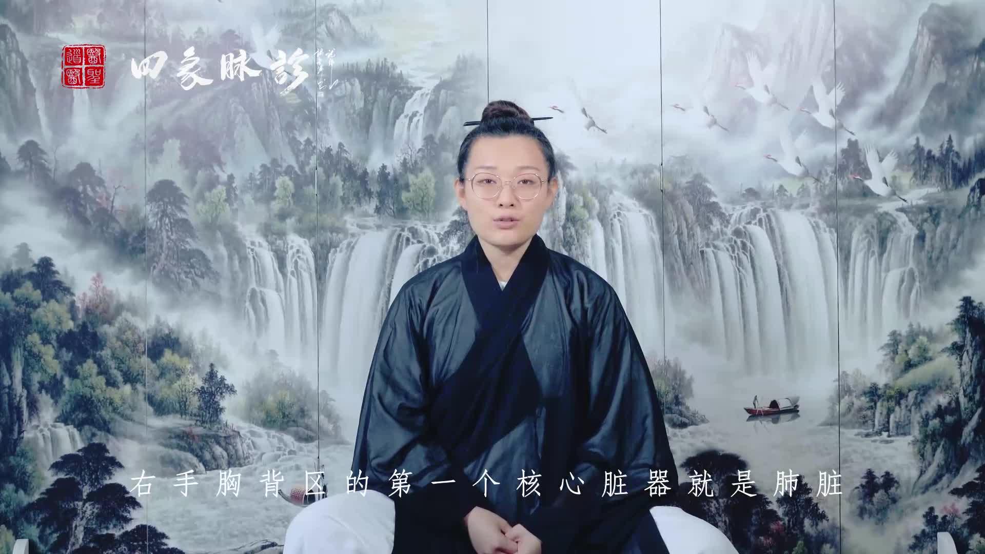四象脉诊公开课:全息定位图(4)