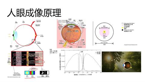 人眼成像原理与计算机视觉的关系_哔哩哔哩_bilibili感受野