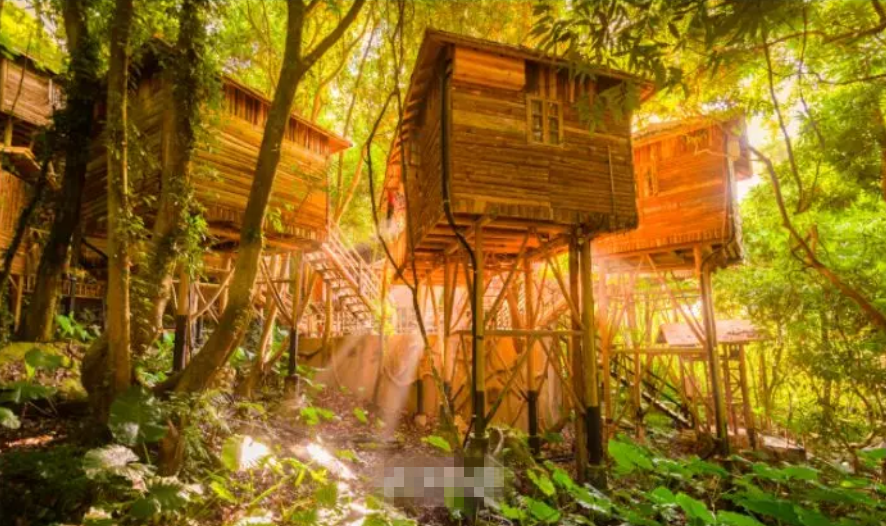 每个家长都要给孩子建一间神奇树屋