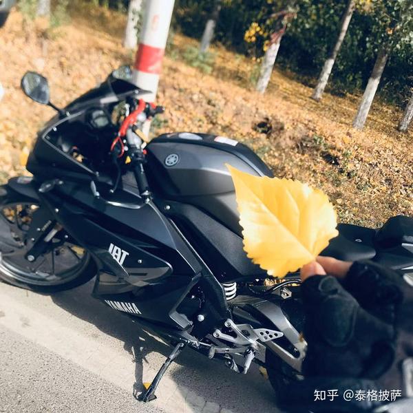 飞鹰r25"国产雅马哈r15"?
