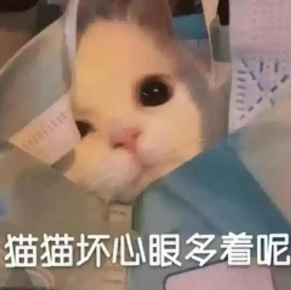 【表情包】猛男专用表情包图 - 知乎