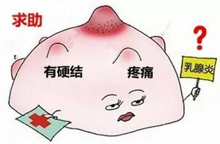 你知道浆细胞性乳腺炎和肉芽肿性乳腺炎的区别吗