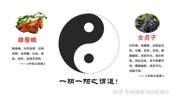 负阴才能抱阳补肾必须养精蛾贞胶丸更年期的太极大药