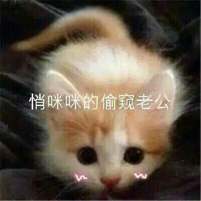 有什么适用于和老公/男票撒娇的可爱表情包?