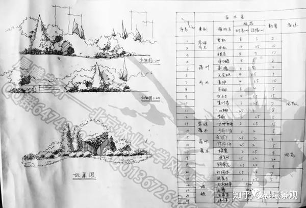 3.立面图,植物配置模式图,效果图等: 掌握得分要点,参考范图,多