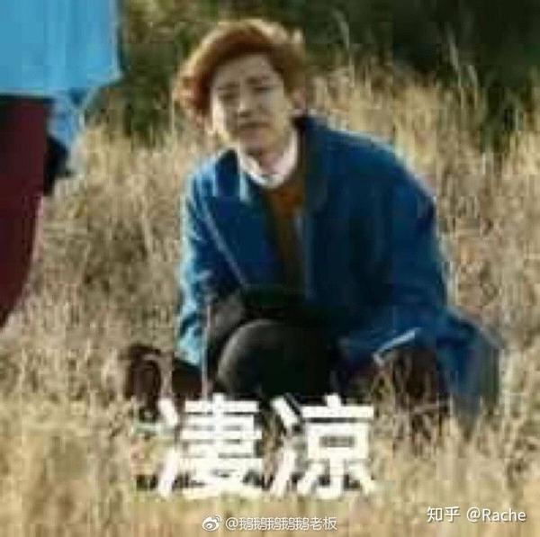 爱丽们知道哪些exo的小故事或者表情包吗?