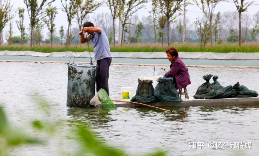 由溱湖簖蟹,溱湖青虾,溱湖甲鱼,溱湖银鱼,溱湖四喜,溱湖螺贝,溱湖水禽