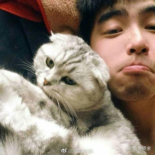 如何评价沈以诚?
