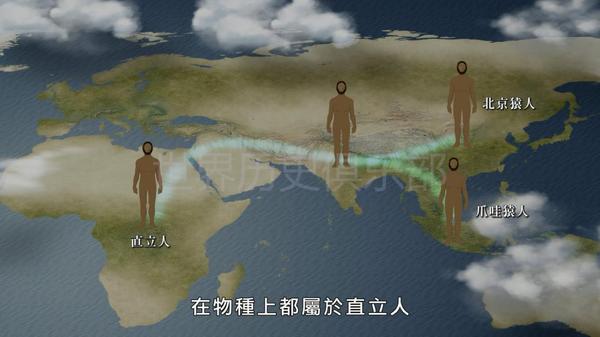 海德堡人