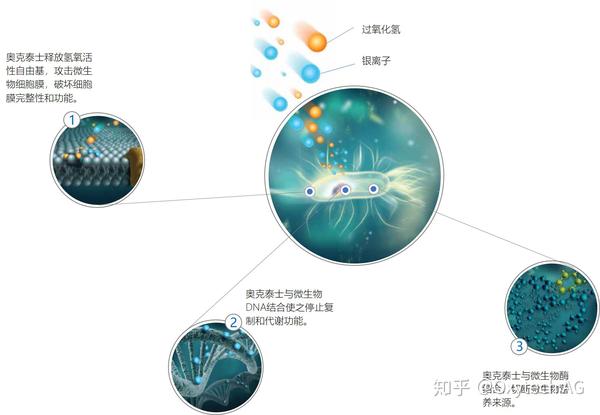 银离子过氧化氢杀菌原理图