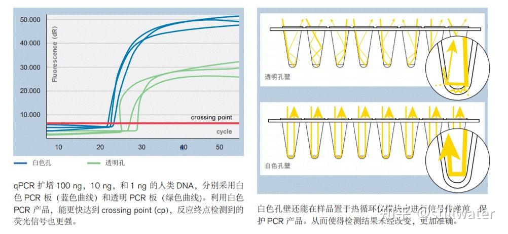 pcr技术原理及荧光pcr方法全面解读